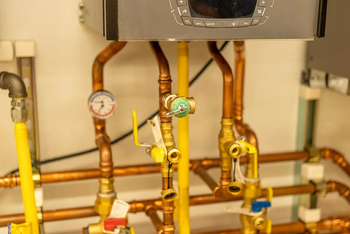 Licensed technician providing Sump Pump Repair for a homeowner in Ionia